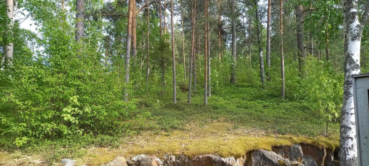 Saimaan Kodikas Leilighet Nyslott Eksteriør bilde